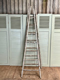 Antique French Orchard Ladders, Single or Pair - LOVINGLY MADE FURNITURE, SUSSEX - ladders together 