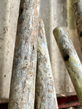 Antique French Orchard Ladders, Single or Pair - LOVINGLY MADE FURNITURE, SUSSEX - details