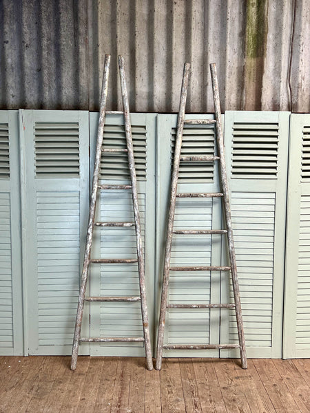 Antique French Orchard Ladders, Single or Pair - LOVINGLY MADE FURNITURE, SUSSEX - front pair