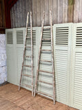 Antique French Orchard Ladders, Single or Pair - LOVINGLY MADE FURNITURE, SUSSEX - side view pair