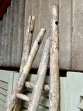 Antique French Orchard Ladders, Single or Pair - LOVINGLY MADE FURNITURE, SUSSEX - top of ladders